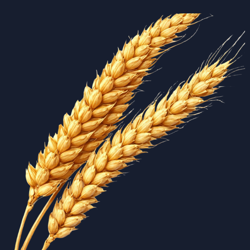 Wheat Plan
